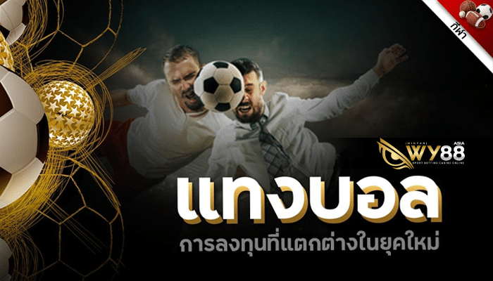 WY88 - ทางเข้า WY88 - ปก