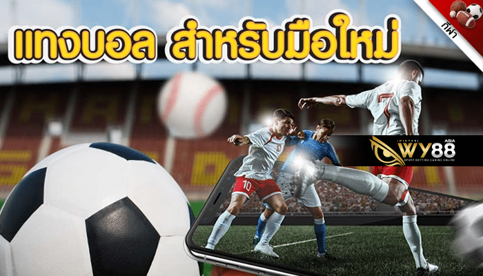 ครึ่งควบลูก คืออะไร WY88 มีคำตอบให้